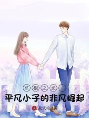 草根之光:平凡小子的非凡崛起最新