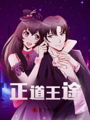 正道王途阅读