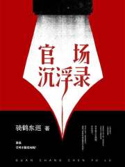 官场沉浮阅读小说阅读