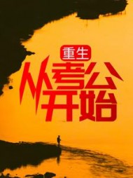 重生：从考公开始周阳小说阅读