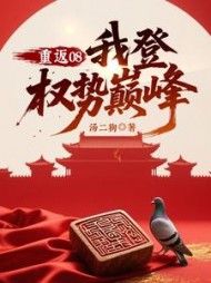 重返08：我登权势巅峰最新