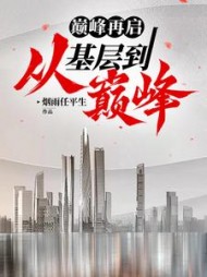 巅峰再启：从基层到巅峰阅读