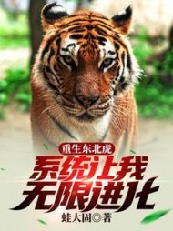 重生东北虎，系统让我无限进化阅读小说阅读