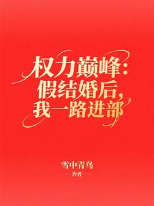 权力巅峰:假结婚后,我一路进部最新