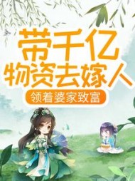 带千亿物资去嫁人，领着婆家致富小说阅读
